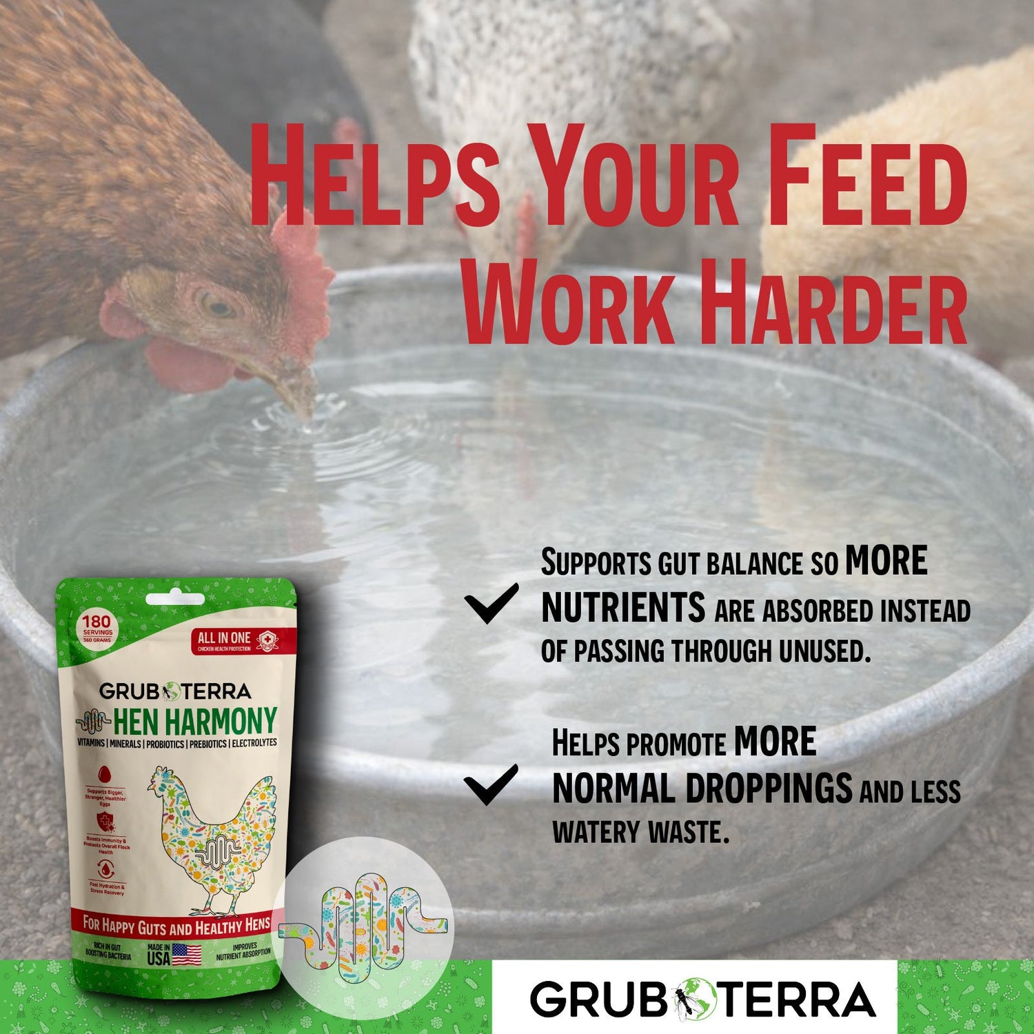 Hen Harmony Chicken Supplement for Hydration, Gut Health &amp; Flock Support
