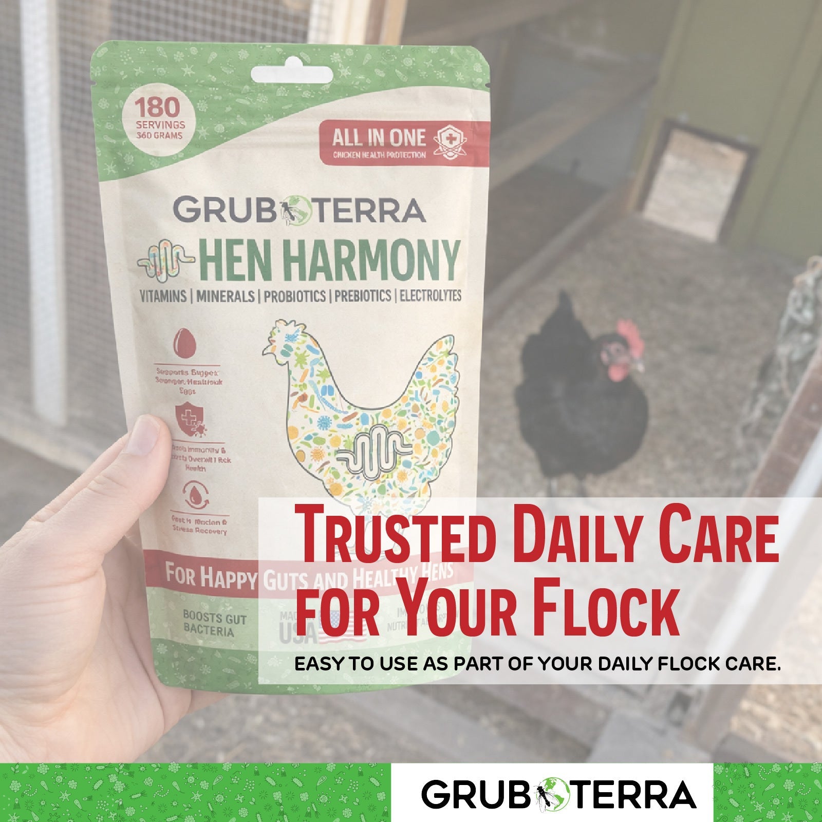 Hen Harmony Chicken Supplement for Hydration, Gut Health &amp; Flock Support