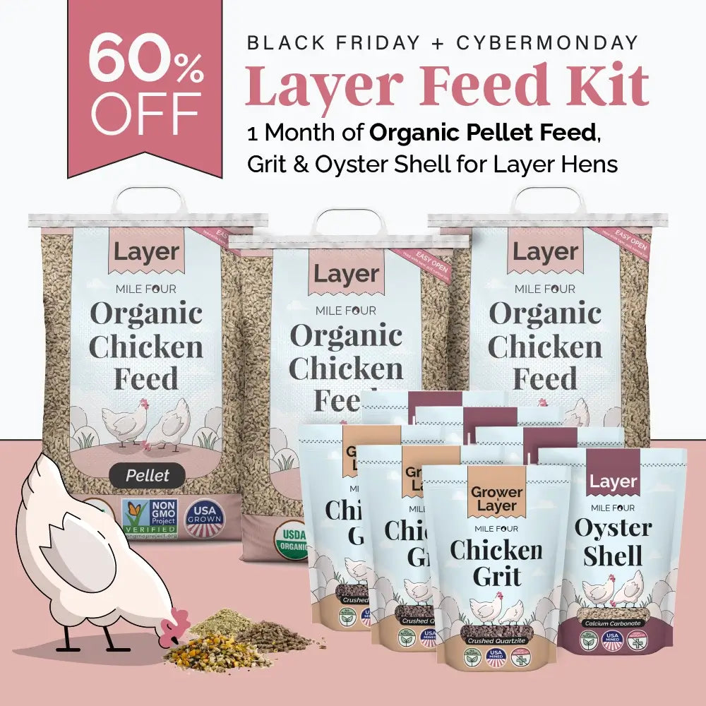Layer Chicken Feed Kit, Chicken Feed Kit, Chicken Kit, Organic Feed Kit, Month Supply of Chicken Feed, Grit, Scratch, Oyster Shell, Chicken Feed Bundle, Best Chicken Feed 