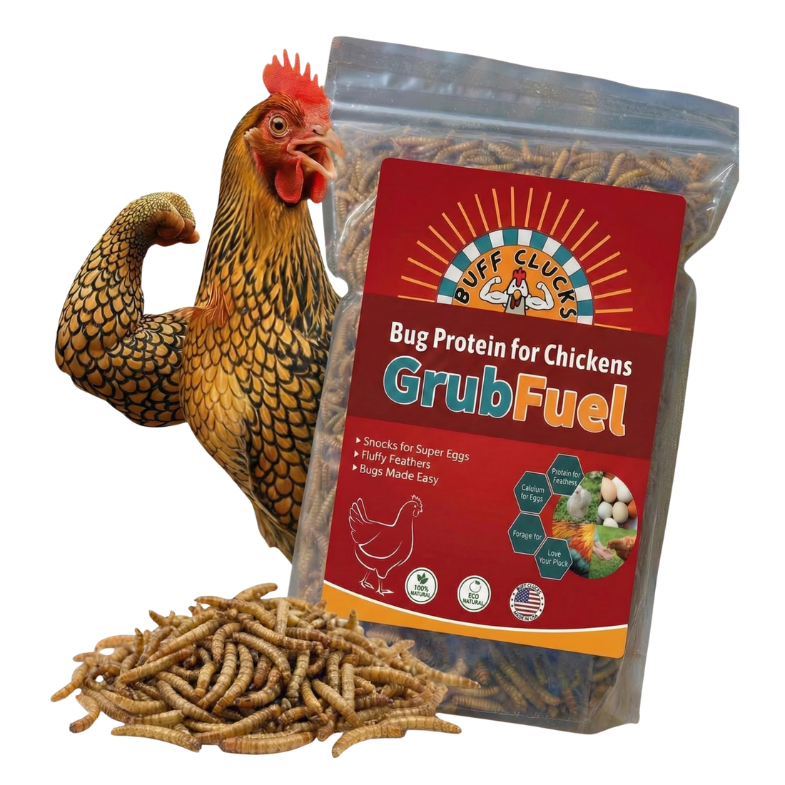 GrubFuel - Black Soldier Fly Larvae for Chickens