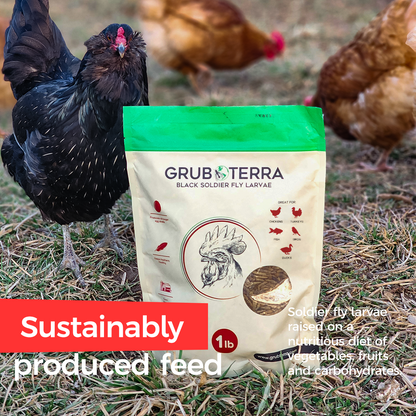 Grub Terra | Organic Grub for chicken | Fly Larvae