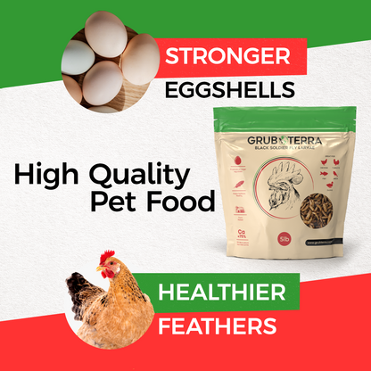 Grub Terra | Organic Grub for chicken | Fly Larvae