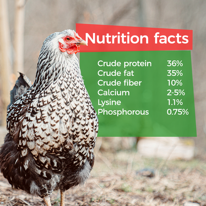 Nutrition Facts