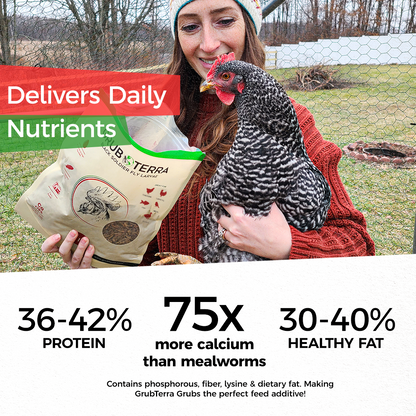 Grub Terra | Organic Grub for chicken | Fly Larvae