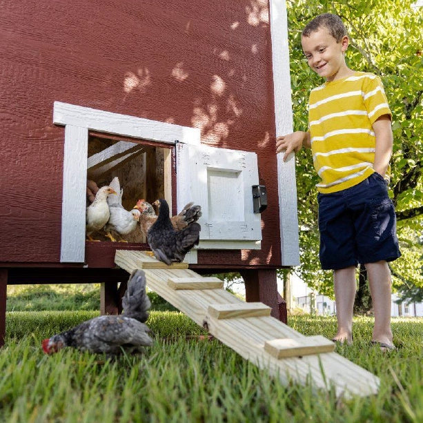 Chicken Coop, Large Sized Coop for 15 chickens, Red Painted Chicken Coop, Wooden Chicken Coop, DIY Chicken Coop, USA Made Chicken Coop, Assemble Chicken Coop, 