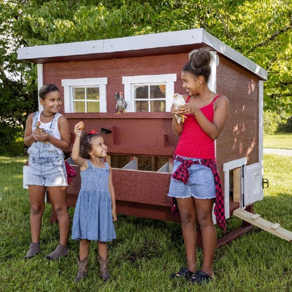 Chicken Coop, Large Sized Coop for 15 chickens, Red Painted Chicken Coop, Wooden Chicken Coop, DIY Chicken Coop, USA Made Chicken Coop, Assemble Chicken Coop, 