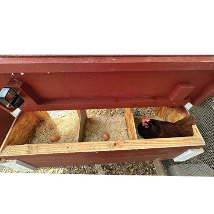 Chicken Coop, Medium Sized Coop for 10 chickens, Blue Painted Chicken Coop, Wooden Chicken Coop, DIY Chicken Coop, USA Made Chicken Coop, Assemble Chicken Coop, 