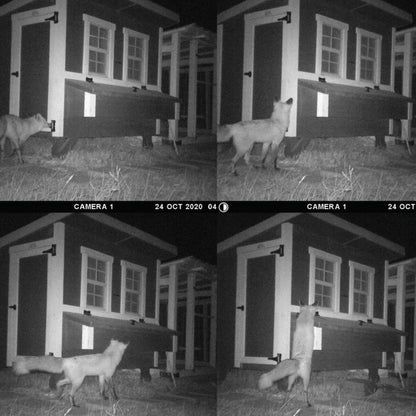 Chicken Coop, Medium Sized Coop for 10 chickens, Blue Painted Chicken Coop, Wooden Chicken Coop, DIY Chicken Coop, USA Made Chicken Coop, Assemble Chicken Coop, 