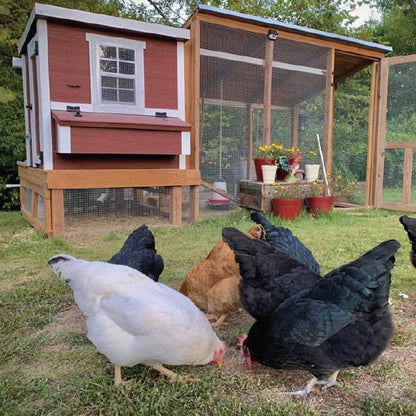 Chicken Coop, Medium Sized Coop for 10 chickens, Red Painted Chicken Coop, Wooden Chicken Coop, DIY Chicken Coop, USA Made Chicken Coop, Assemble Chicken Coop, 