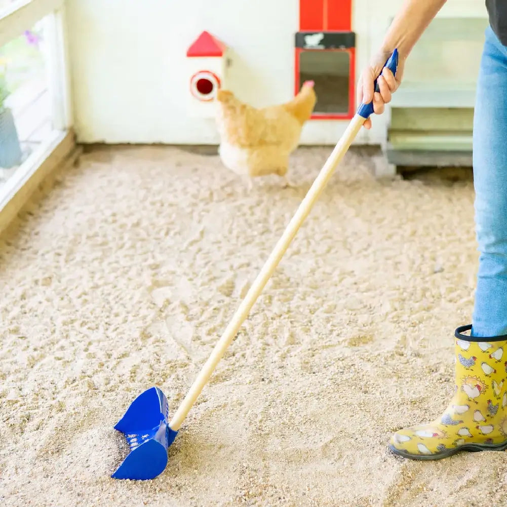 Chicken Coop Scoop