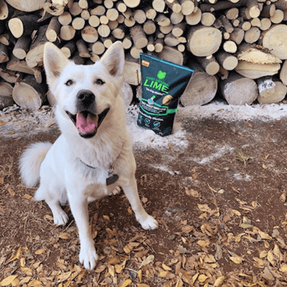 Natural Insect Repellent for Chicken Coops, Chicken Mites Repellent, Coop Protection, Chicken Mite Powder, Organic Coop Repellent, First Saturday Lime