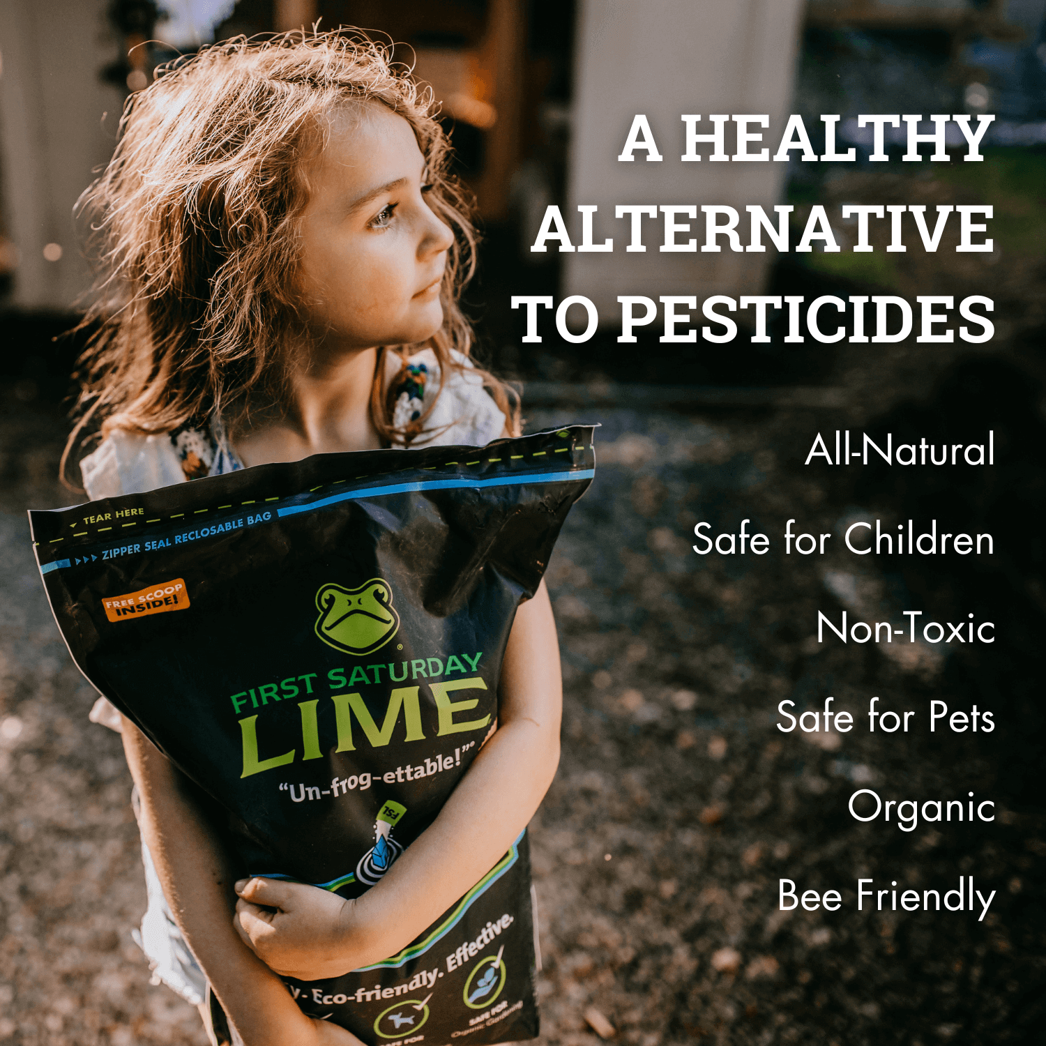 Natural Insect Repellent for Chicken Coops, Chicken Mites Repellent, Coop Protection, Chicken Mite Powder, Organic Coop Repellent, First Saturday Lime