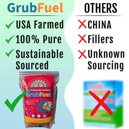 GrubFuel - Black Soldier Fly Larvae for Chickens