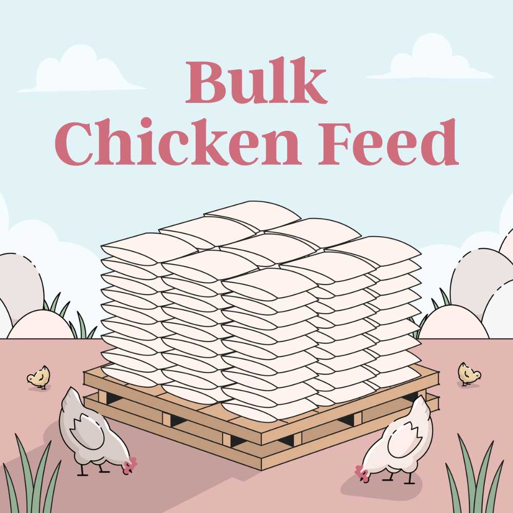Buy Bulk Organic Chicken Feed Save 75 Buying Chicken Feed in Bulk