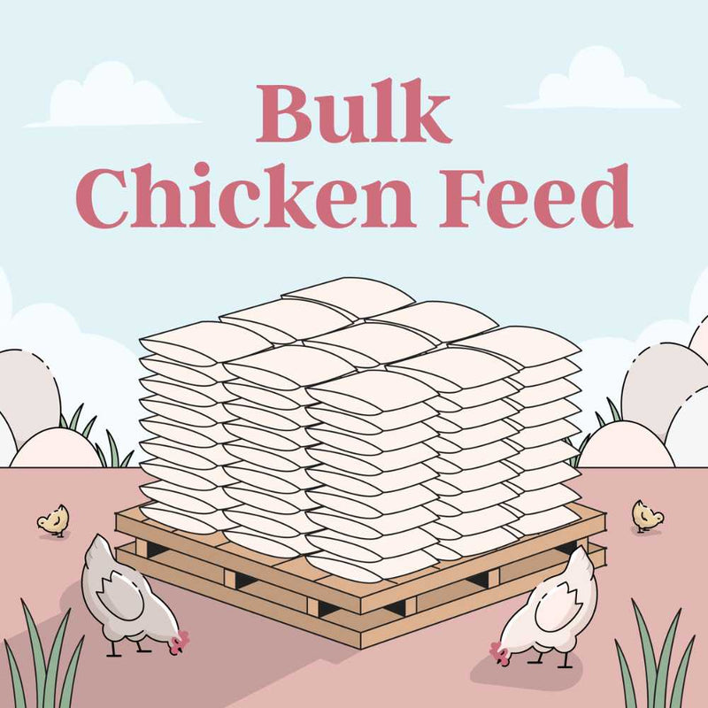 Buy Bulk Organic Chicken Feed | Save 75%+ Full Pallet Fresh Feed