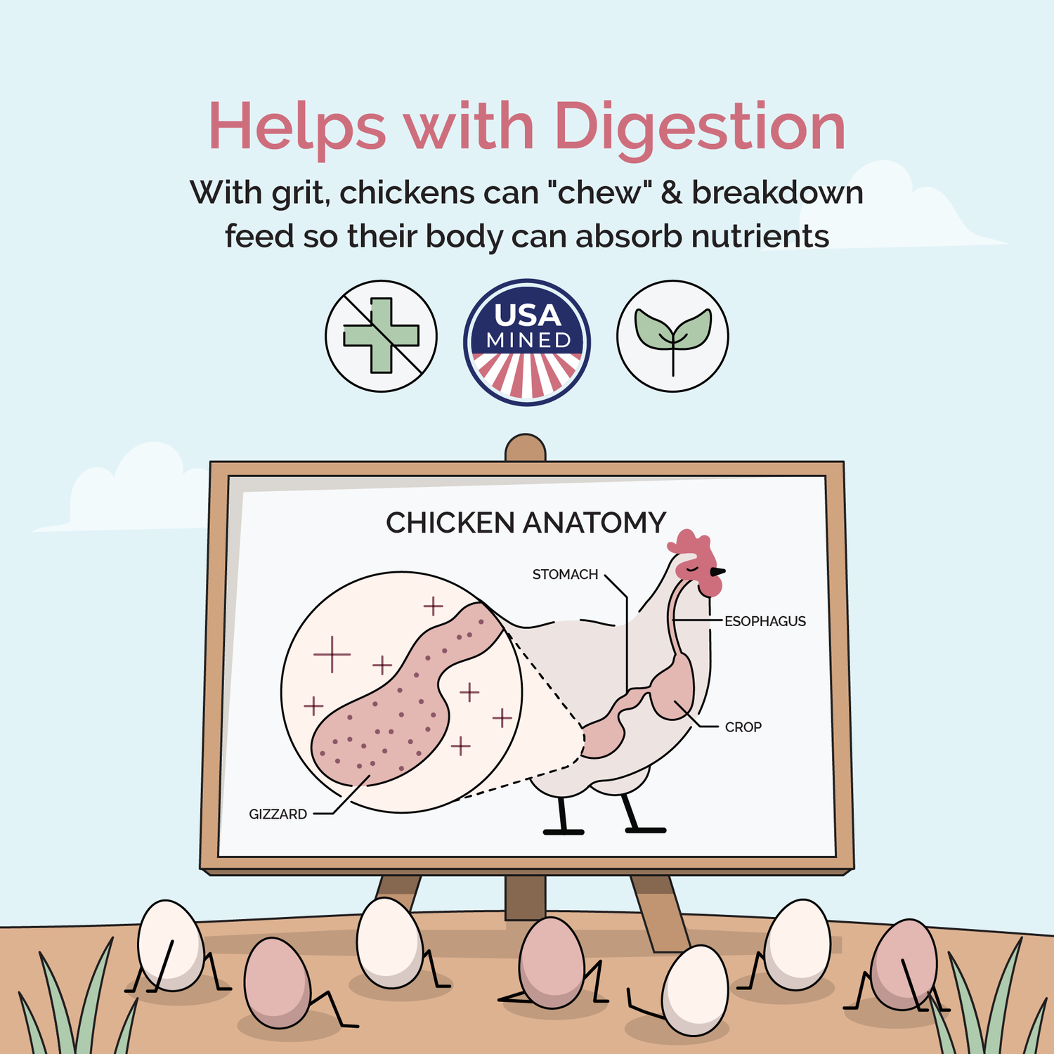Chick Feed Starter Pack | Organic Starter Feed + Starter Grit