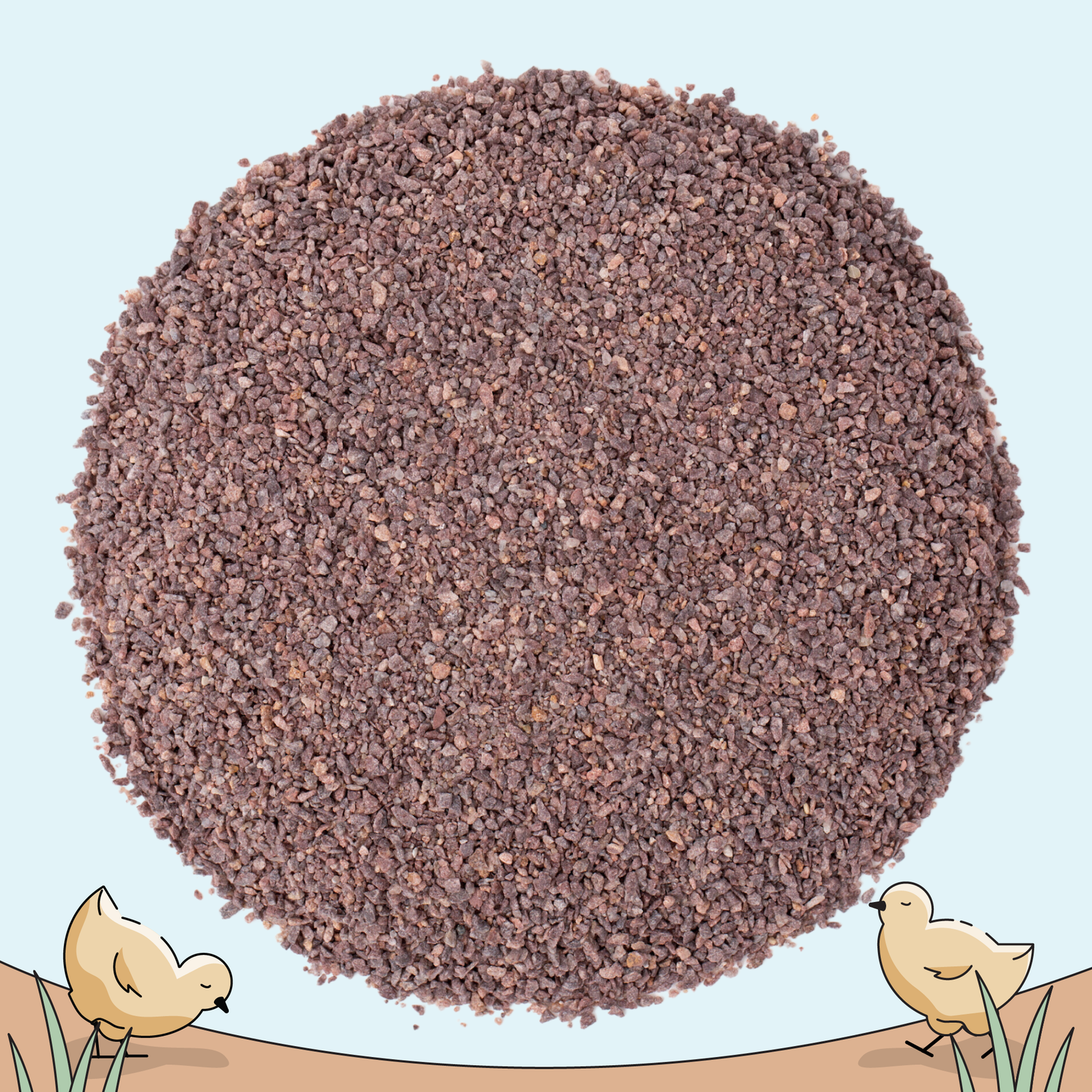 Chick Feed Starter Pack | Organic Starter Feed + Starter Grit