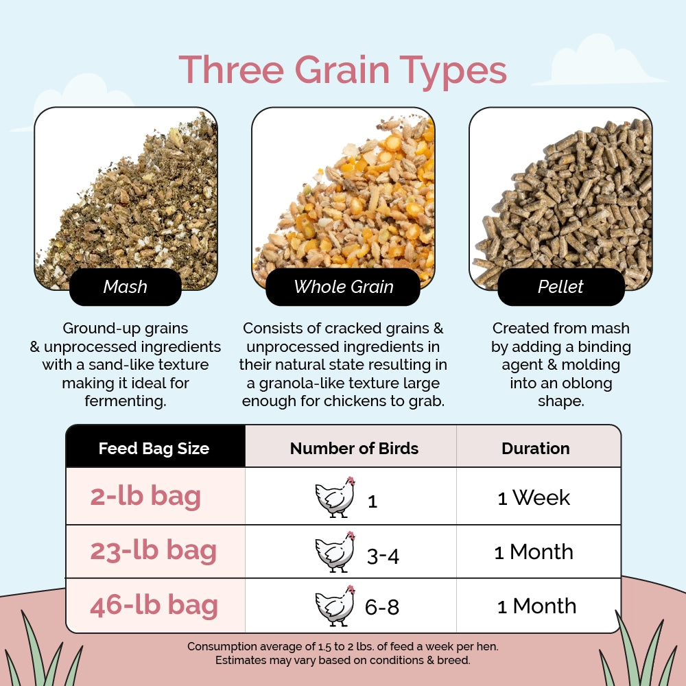 Buy Organic Starter Chicken Feed | Best Feed for Baby Chicks | Non-GMO 