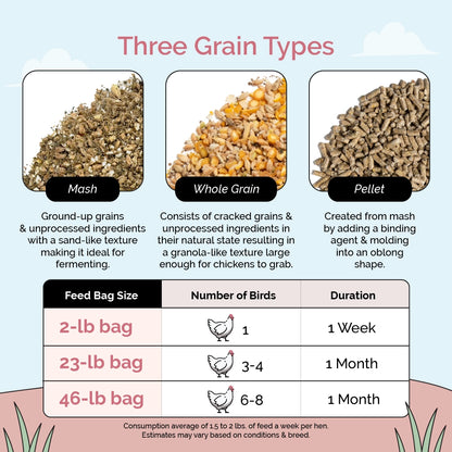 Buy Organic Starter Chicken Feed | Best Feed for Baby Chicks | Non-GMO 