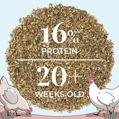 Buy Organic Chicken Layer Feed | Best Organic Layer Feed | Non-GMO 