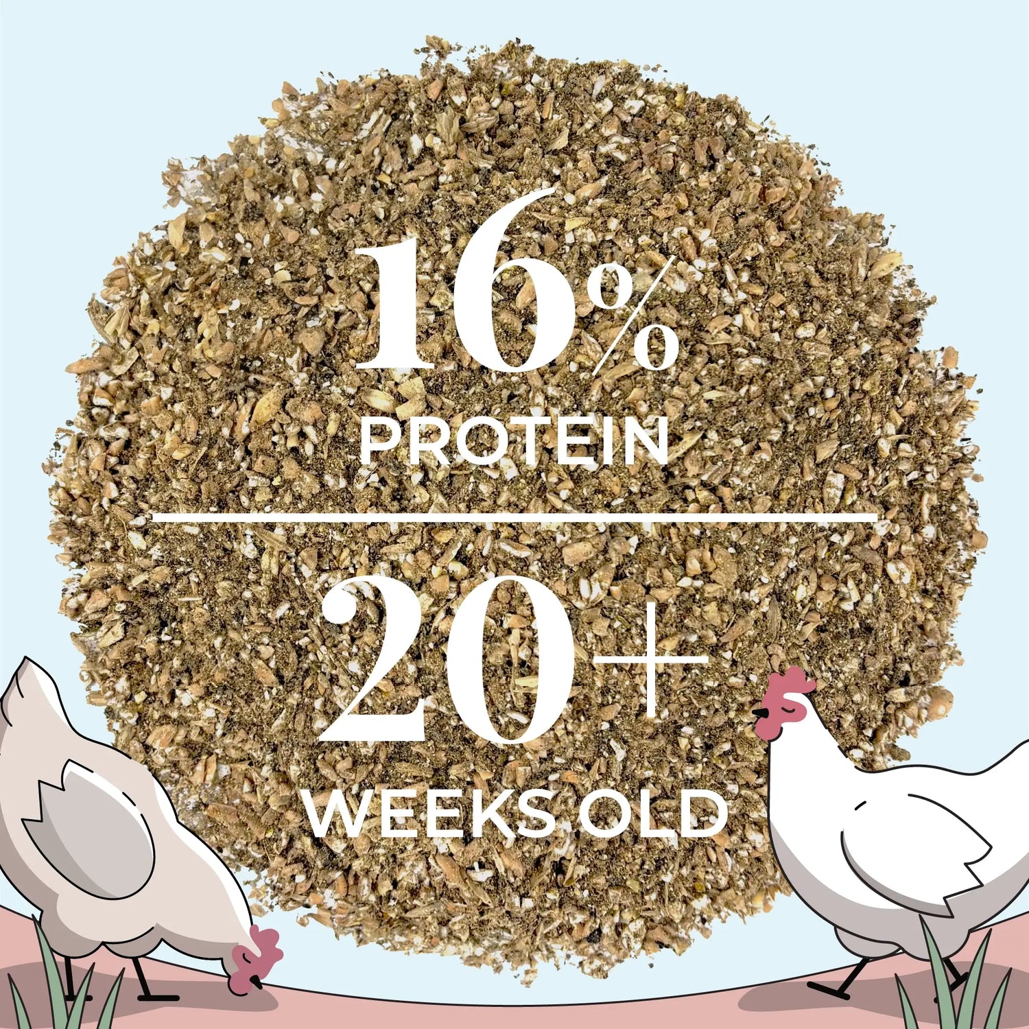 Buy Bulk Organic Chicken Feed | Save 75%+ Full Pallet Fresh Feed 
