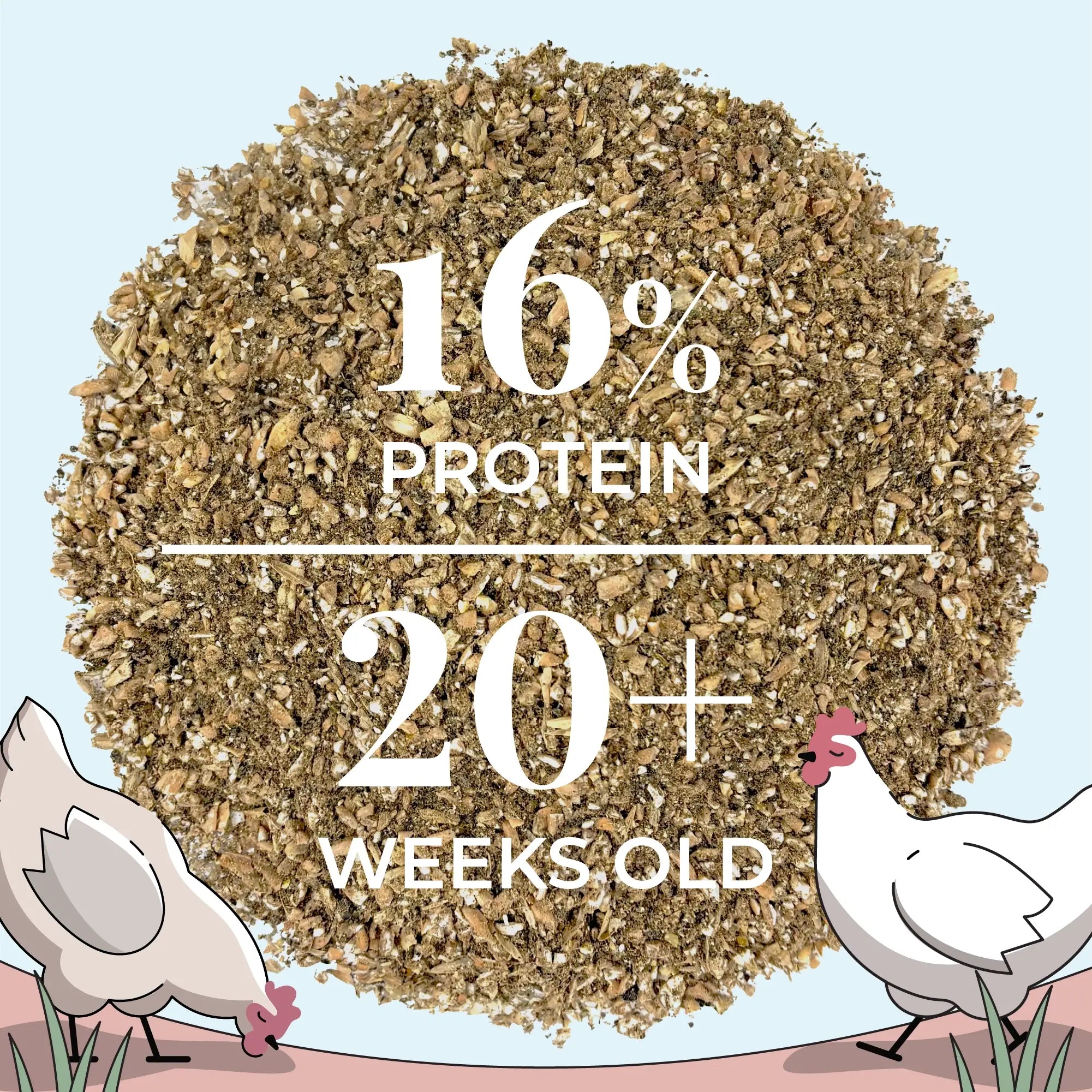 Buy Bulk Organic Chicken Feed | Save 75%+ Full Pallet Fresh Feed 