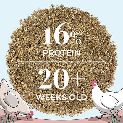 Buy Bulk Organic Chicken Feed | Save 75%+ Full Pallet Fresh Feed 