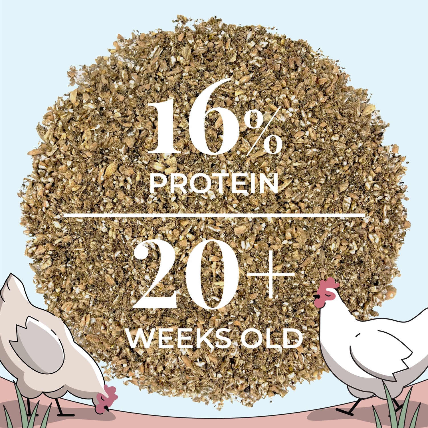 Layer Chicken Feed Kit, Chicken Feed Kit, Chicken Kit, Organic Feed Kit, Month Supply of Chicken Feed, Grit, Scratch, Oyster Shell, Chicken Feed Bundle, Best Chicken Feed, Organic Mash 