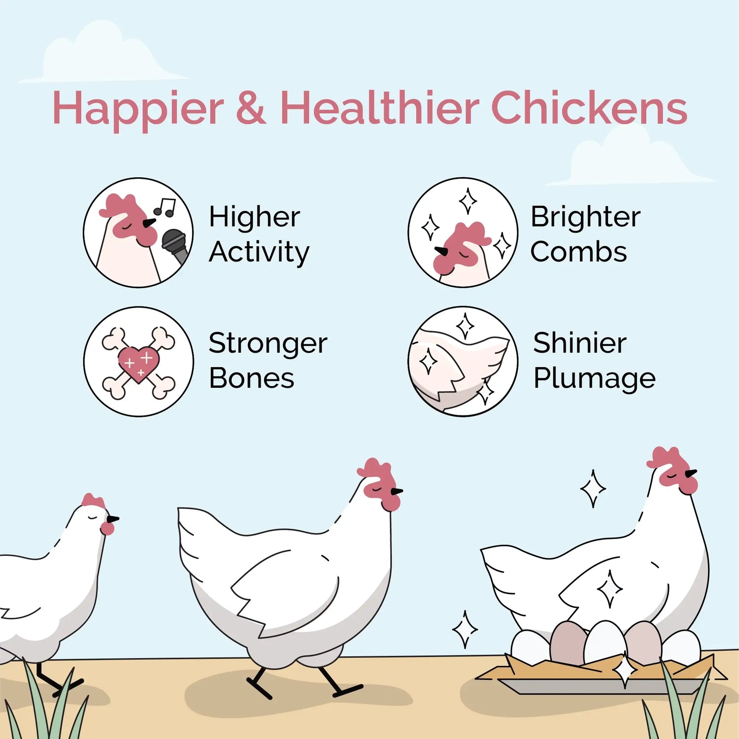 Chick Feed Starter Pack | Organic Starter Feed + Starter Grit