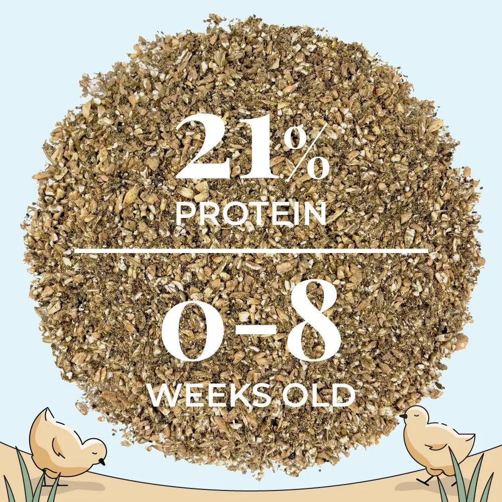 Buy Organic Starter Chicken Feed | Best Feed for Baby Chicks | Non-GMO, 