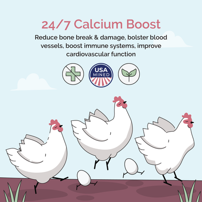 Chicken Grit + Oyster Shell | Layer &amp; Grower Supplements