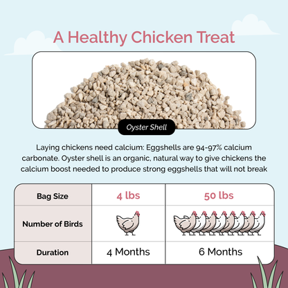 Chicken Grit + Oyster Shell | Layer &amp; Grower Supplements