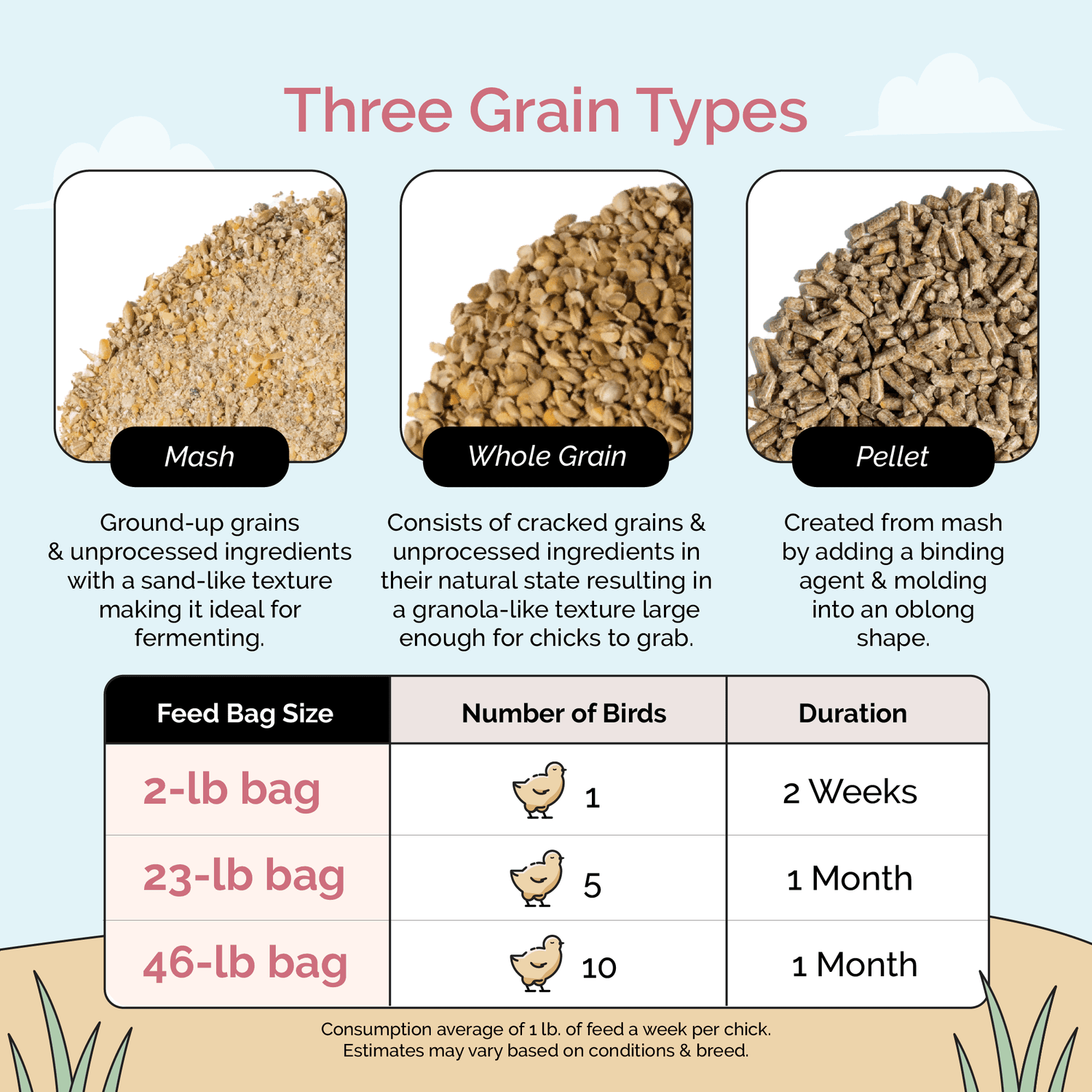 Buy Organic Starter Chicken Feed | Best Feed for Baby Chicks | Non-GMO 