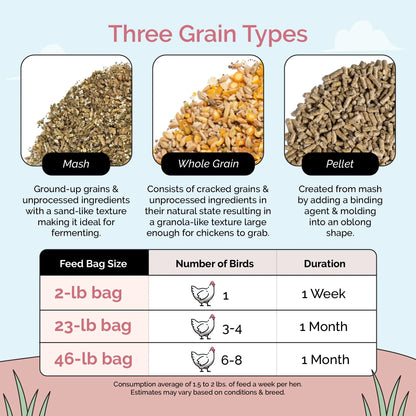 Buy Organic Chicken Layer Feed | Best Organic Layer Whole Grain Bag Guide | Non-GMO 