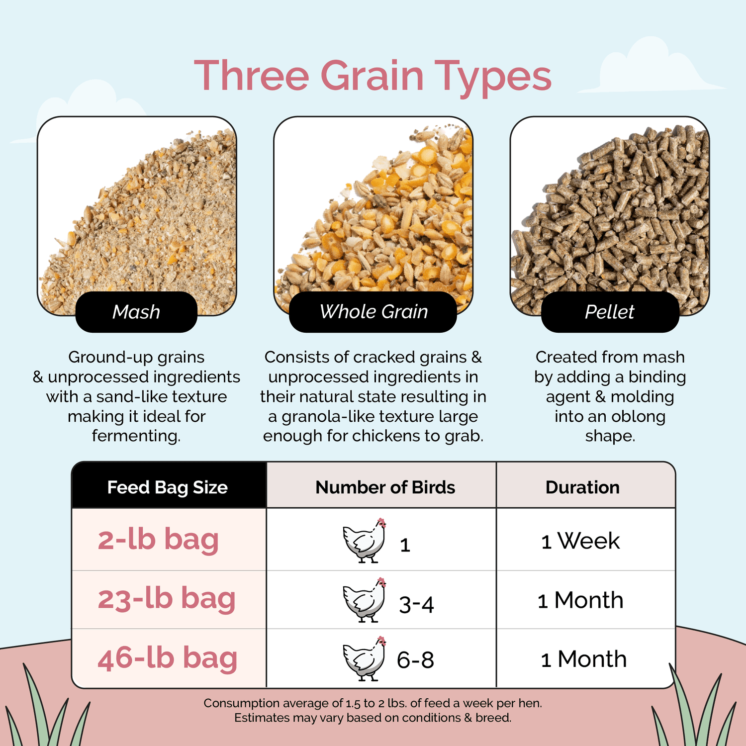 Buy Organic Starter Chicken Feed | Best Feed for Baby Chicks | Non-GMO 