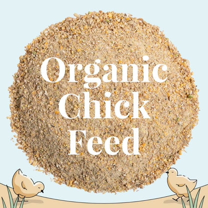 Starter Organic Chicken Feed