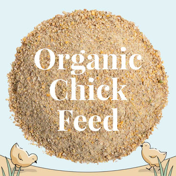 Organic Chicken Feed For Backyard Chickens | Subscribe & Save 5% – Mile ...