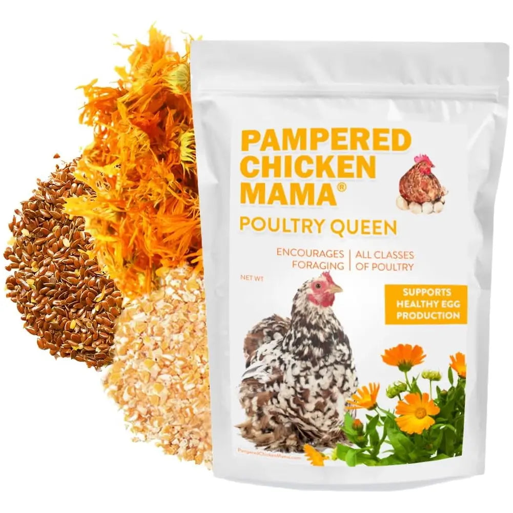 Pampered Chicken Mama Non-GMO corn, flax, herbs, and protein-rich mealworms for poultry chickens layer hens