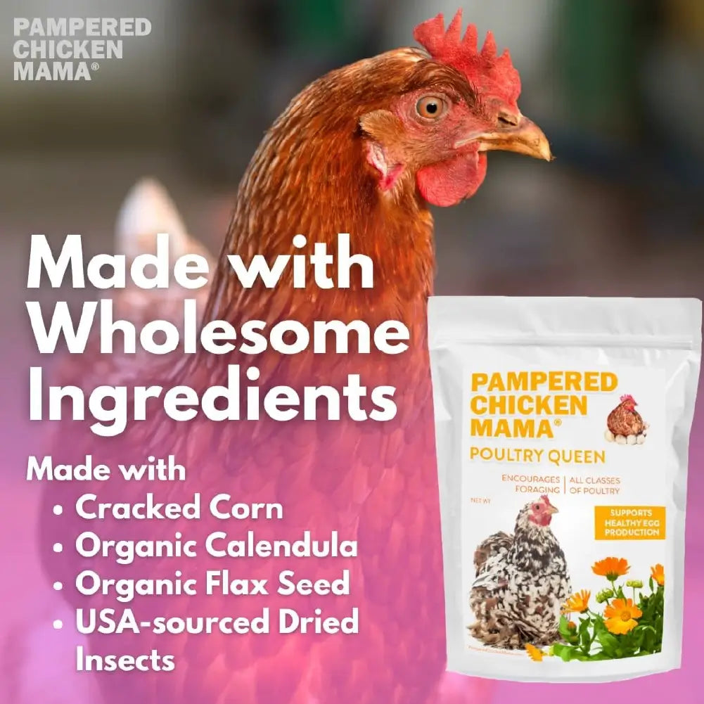 Pampered Chicken Mama Non-GMO corn, flax, herbs, and protein-rich mealworms for poultry chickens layer hens