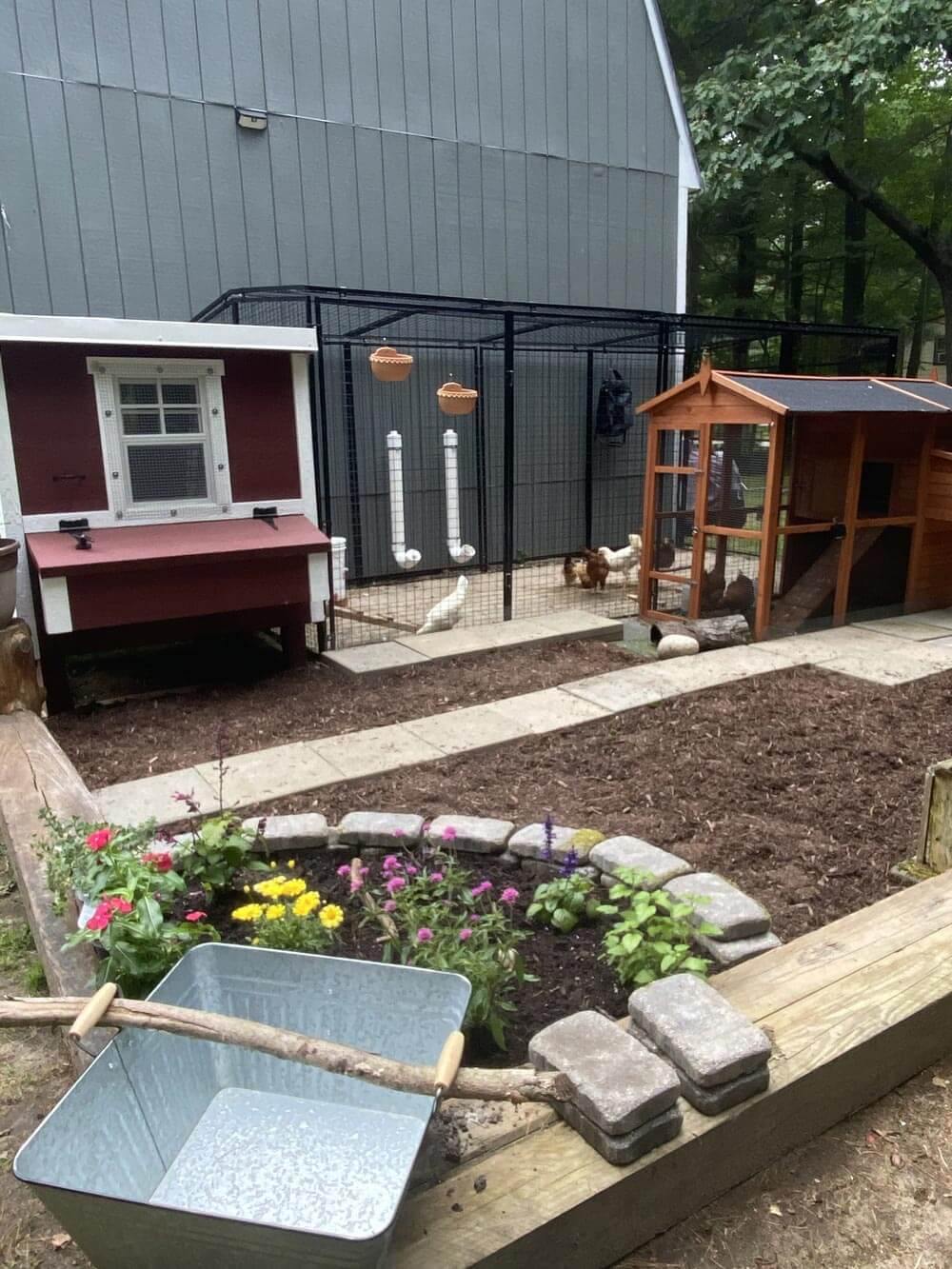 Chicken Coop Medium (10 Chickens)