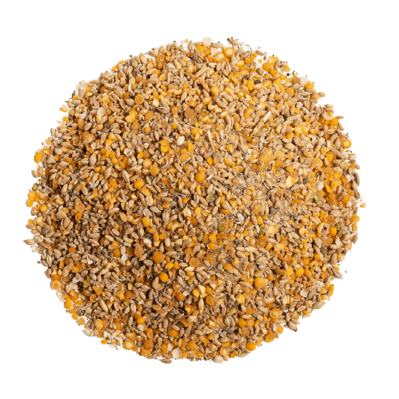Buy Organic Grower Chicken Feed | Best Organic Layer Feed | Non-GMO