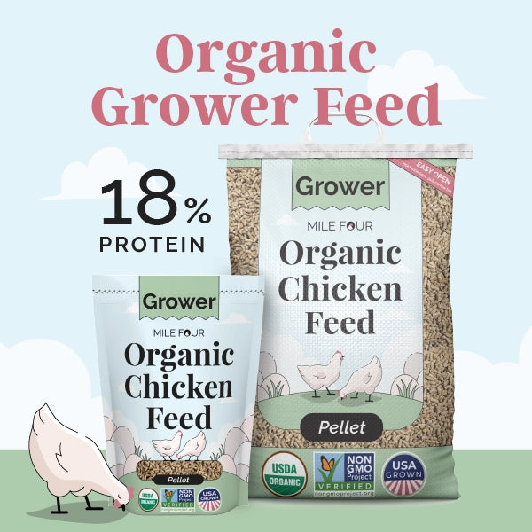 Buy Organic Chicken Layer Feed, Best Organic Chicken Feed, Non-GMO, USDA Organic Chicken Feed, Chicken Feed, Organic Chicken Feed, Mile Four Feed, Mile Four Chicken Feed, Grower Feed. Organic Grower Feed