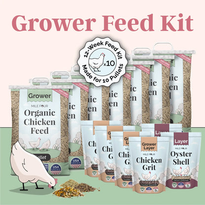 Grower Chicken Feed Kit, Chicken Feed Kit, Chicken Kit, Organic Feed Kit, Month Supply of Chicken Feed, Grit, Scratch, Oyster Shell, Chicken Feed Bundle, Best Chicken Feed