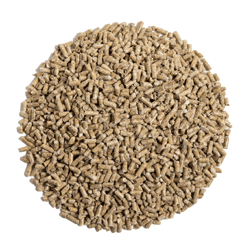 Circular Pile of Chicken Feed