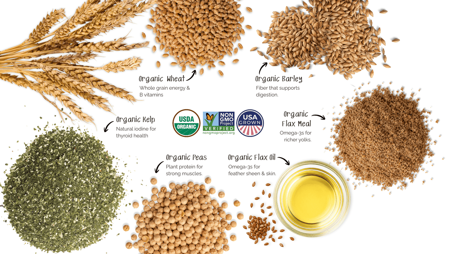 Overhead infographic of Mile Four organic chicken feed ingredients, including organic wheat, barley, kelp, peas, flax meal, and flax oil, each labeled with a brief benefit, alongside USDA Organic, Non-GMO Project Verified, and USA Grown certification badges on a white background.