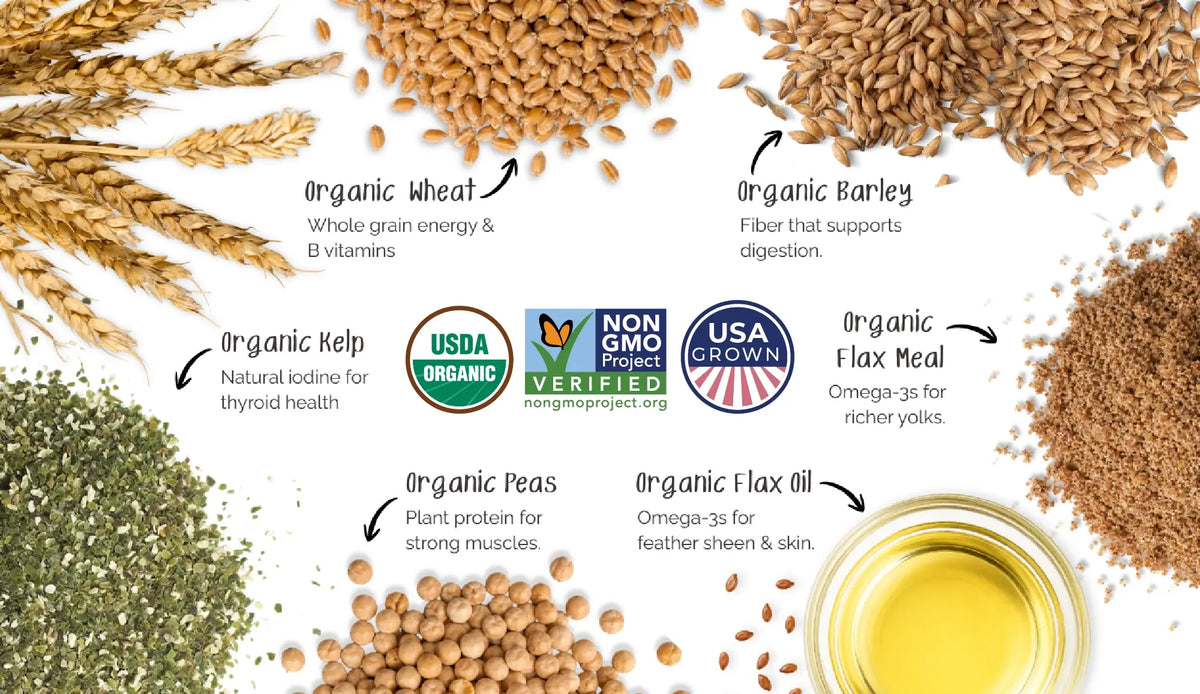 Photo of all Mile Four ingredients with organic wheat, organic barley, organic kelp, organic flax meal, organic peas, organic flax oil and three logos including USDA, Non GMO Project Verified and USA Grown
