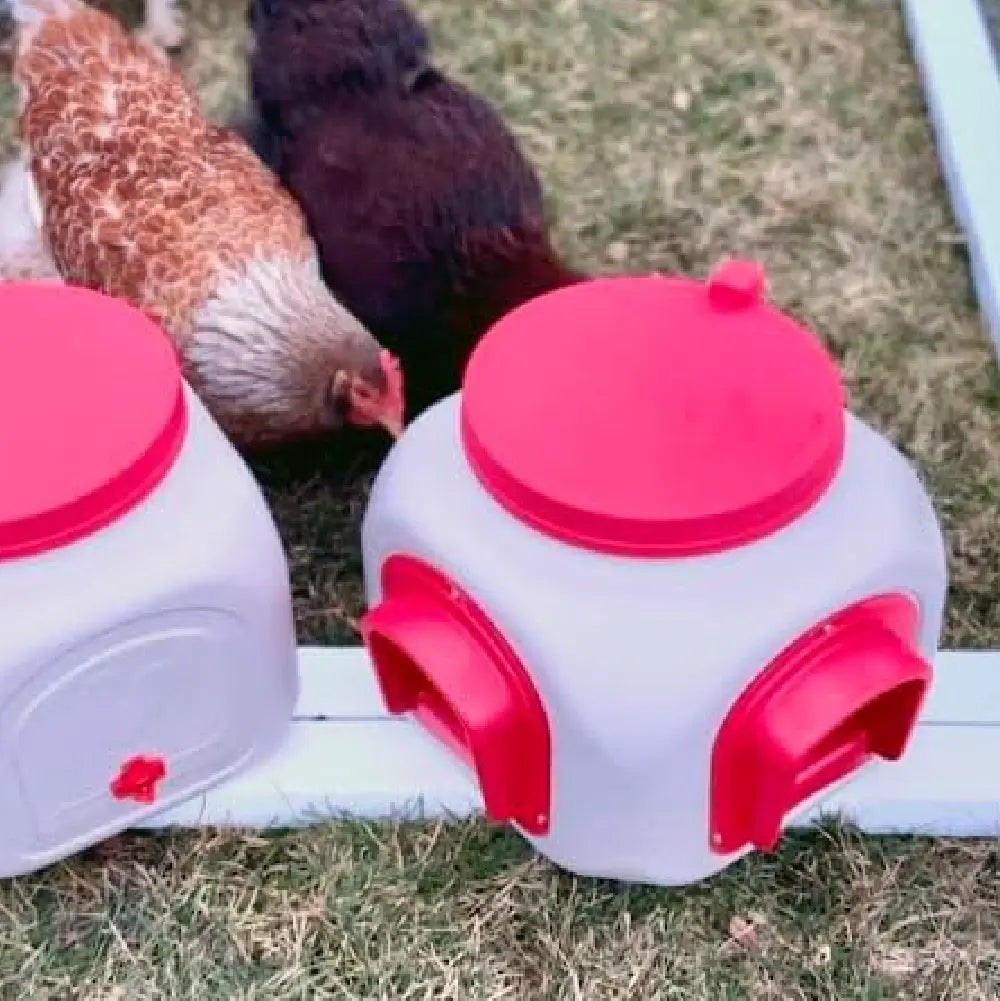 Chicken Feed, Poultry Feeder, Chicken Feed Dispenser, Feeder, High Capacity Feeder, Best Chicken Feeder, OverEZ Chicken Feeder, OverEZ Feeder