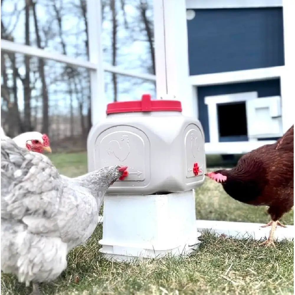Chicken Waterer Large (23 gallons)