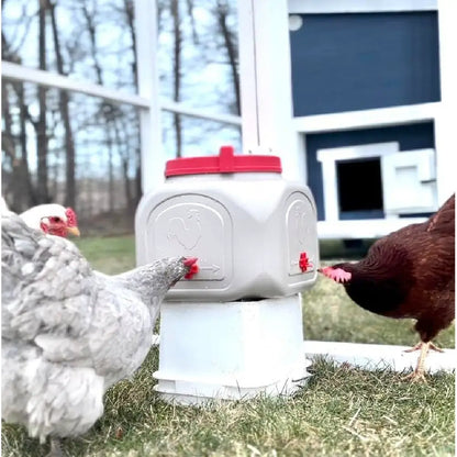 Chicken Waterer Large (23 gallons)