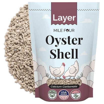 Buy Oyster Shell for Strong Chicken Eggs | Best Calcium Supplement